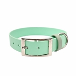 collier pour chien menthe