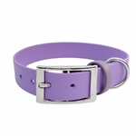 collier pour chien aubergine