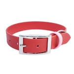 collier pour chien fraise