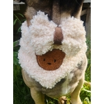 bandana pour chien teddy