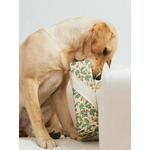 cadeau de noel pour chien