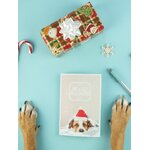 cadeau de noel pour chien