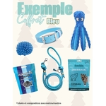 cadeau de noel pour chien