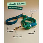 laisse personnalisé strylidog
