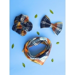 NOEUD PAPILLON POUR CHIEN