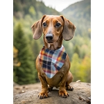 BANDANA CHIEN STYLIDOG