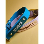 collier personnalisé stylidog