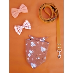 noeud papillon stylidog