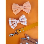noeud papillon stylidog