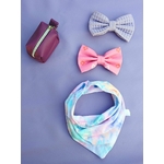 noeud papillon stylidog