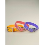 Stylidog collier