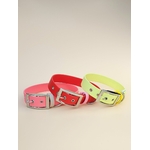 Stylidog collier