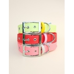 Stylidog collier