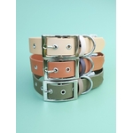 Stylidog collier