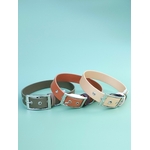 Stylidog collier