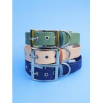 Stylidog collier