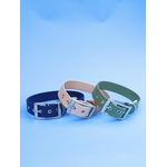 Stylidog collier