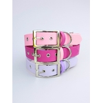 Stylidog collier