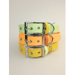 Stylidog collier