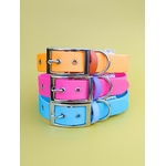 Stylidog collier