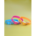 Stylidog collier