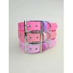Stylidog collier