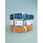 Stylidog collier