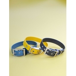 Stylidog collier
