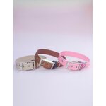 Stylidog collier