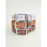 Stylidog collier