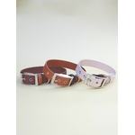 Stylidog collier