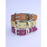 Stylidog collier