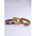 Stylidog collier