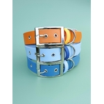Stylidog collier