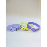 Stylidog collier