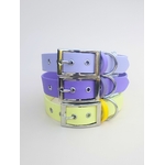 Stylidog collier