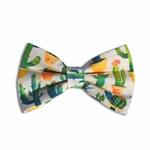noeud papillon chien cactus