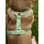 Harnais pour chien Cactus Stylidog