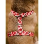 Harnais pour chien motif cerise disco Stylidog