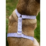 Harnais pour chien motif Lavande Styidog