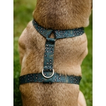 Harnais pour chien motif léopard vert Stylidog