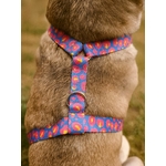 Harnais pour chien léopard Stylidog