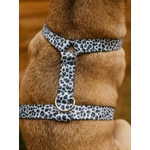 Harnais pour chien noir et blanc Stylidog