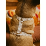 Harnais pour chien motif tête dours Stylidog