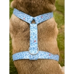 Harnais pour chien motif feuillage bleu Stylidog