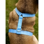 Harnais pour chien motif à carreau bleu Stylidog