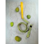 Collier pour chien cactus stylidog