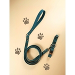 collier léopard chien