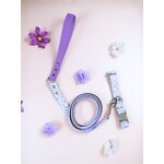 collier pour chien motif lavande