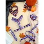 accessoire pour chien motif citrouille